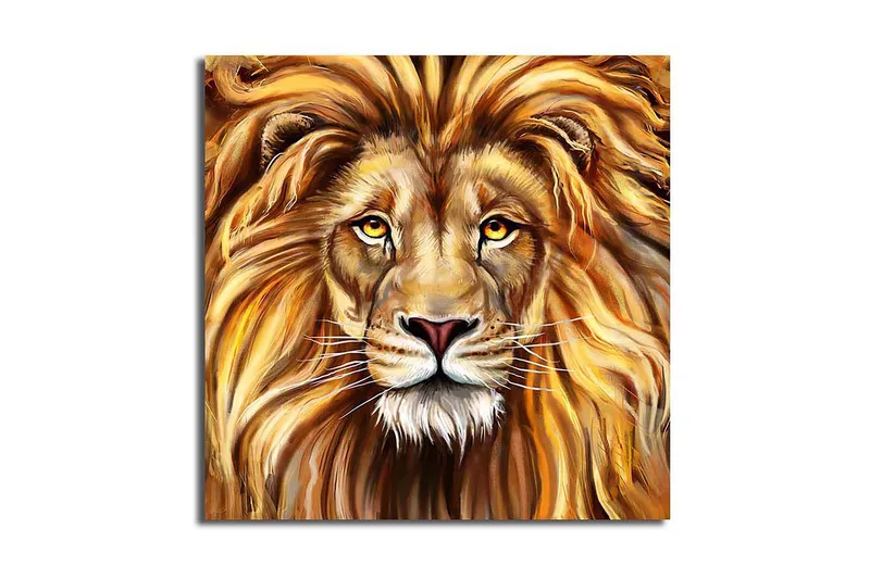 Canvas Flerfarvet, 44x54 cm