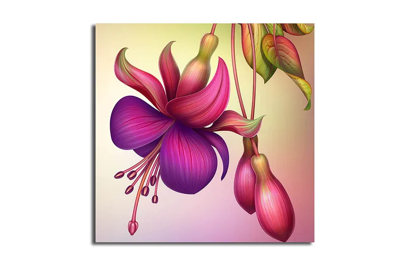 Canvas Flerfarvet, 44x54 cm