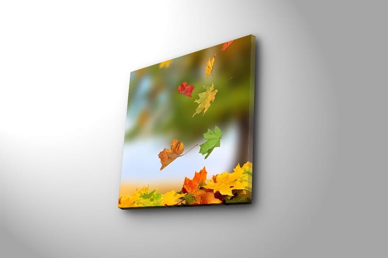 Canvas Flerfarvet - 44x54 cm - Boligtilbehør - Billeder & kunst - Billeder på lærred