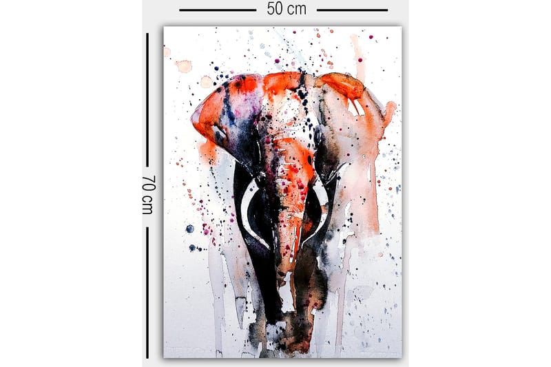 Canvas Flerfarvet - 50x70 cm - Boligtilbehør - Billeder & kunst - Billeder på lærred