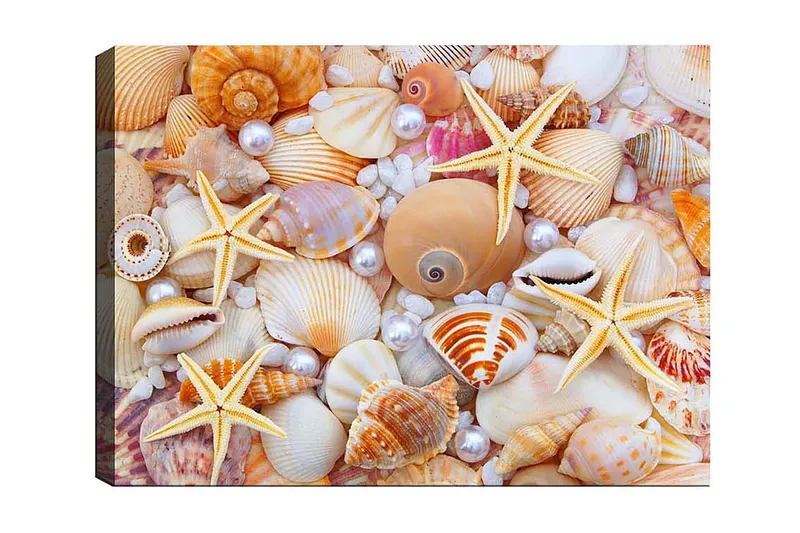 Canvas Flerfarvet, 55x07 cm