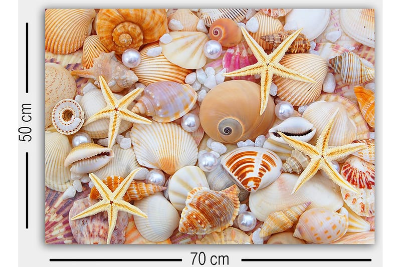 Canvas Flerfarvet - 55x07 cm - Boligtilbehør - Billeder & kunst - Billeder på lærred