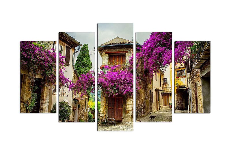 Canvas Nature 5 stk Flerfarvet, 22x06 cm