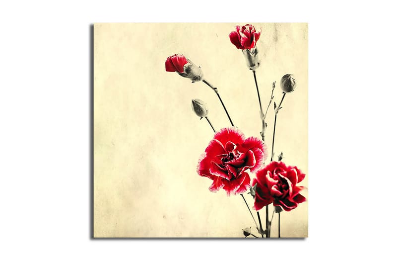 Canvas Scenic Flerfarvet - 44x54 cm - Boligtilbehør - Billeder & kunst - Billeder på lærred