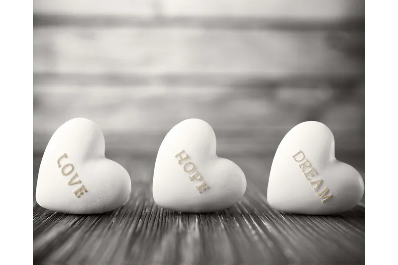 Canvas  Sephia, 40x50 cm