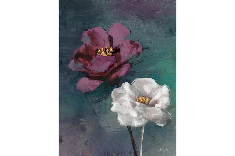 Canvas Violet Rose, undefined