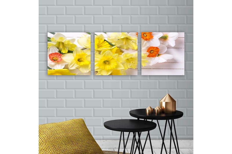 Canvas VP Italien 3 stk Flerfarvet, 33x03 cm