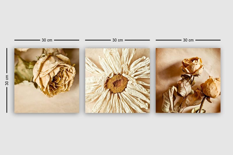 Canvas VP Italien 3 stk Flerfarvet - 33x03 cm - Boligtilbehør - Billeder & kunst - Billeder på lærred