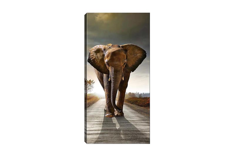 Canvasbillede DKY Animals Flerfarvet - 50x120 cm - Boligtilbehør - Billeder & kunst - Billeder på lærred