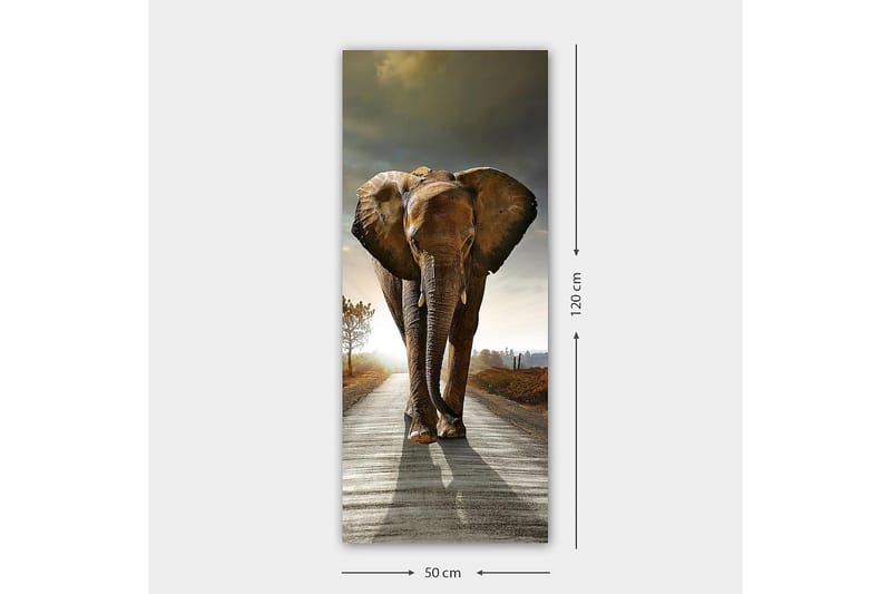 Canvasbillede DKY Animals Flerfarvet - 50x120 cm - Boligtilbehør - Billeder & kunst - Billeder på lærred