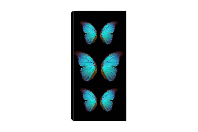 Canvasbillede DKY Animals Flerfarvet - 50x120 cm - Boligtilbehør - Billeder & kunst - Billeder på lærred