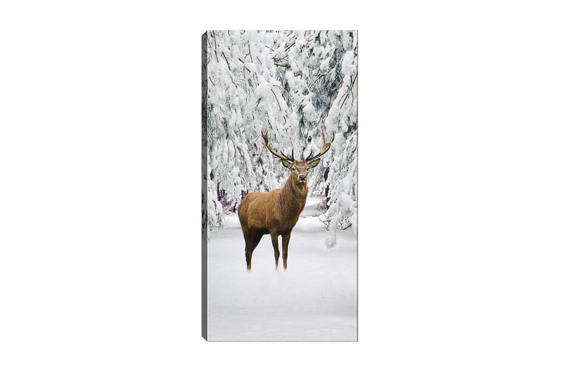 Canvasbillede DKY Animals Flerfarvet - 50x120 cm - Boligtilbehør - Billeder & kunst - Billeder på lærred