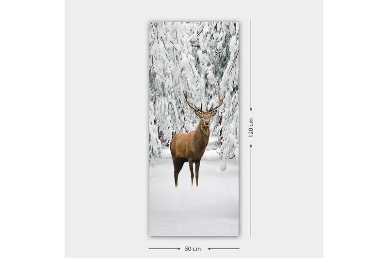 Canvasbillede DKY Animals Flerfarvet - 50x120 cm - Boligtilbehør - Billeder & kunst - Billeder på lærred
