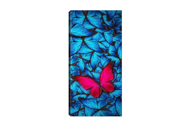 Canvasbillede DKY Animals Flerfarvet - 50x120 cm - Boligtilbehør - Billeder & kunst - Billeder på lærred