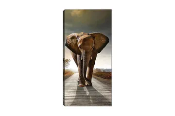 Canvasbillede DKY Animals Flerfarvet - 50x120 cm - Boligtilbehør - Billeder & kunst - Billeder på lærred