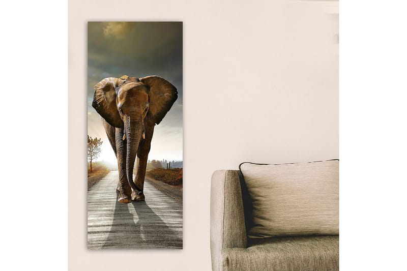 Canvasbillede DKY Animals Flerfarvet - 50x120 cm - Boligtilbehør - Billeder & kunst - Billeder på lærred
