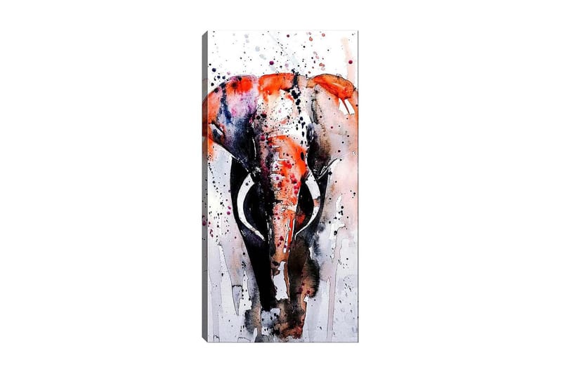 Canvasbillede DKY Animals Flerfarvet, 50x120 cm