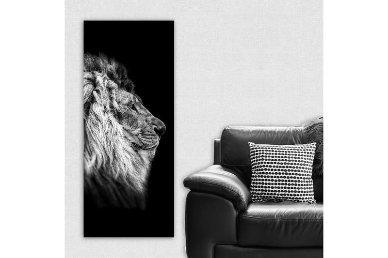 Canvasbillede DKY Animals Flerfarvet - 50x120 cm - Boligtilbehør - Billeder & kunst - Billeder på lærred