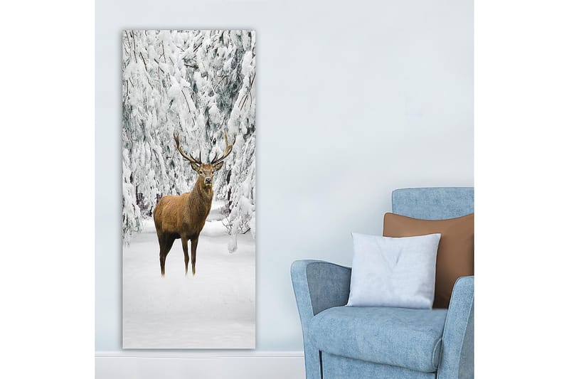 Canvasbillede DKY Animals Flerfarvet - 50x120 cm - Boligtilbehør - Billeder & kunst - Billeder på lærred