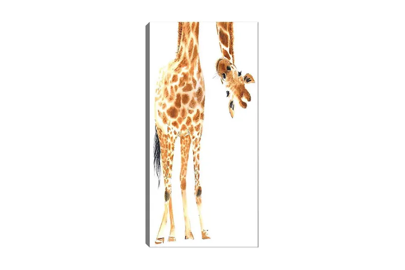Canvasbillede DKY Animals Flerfarvet, 50x120 cm