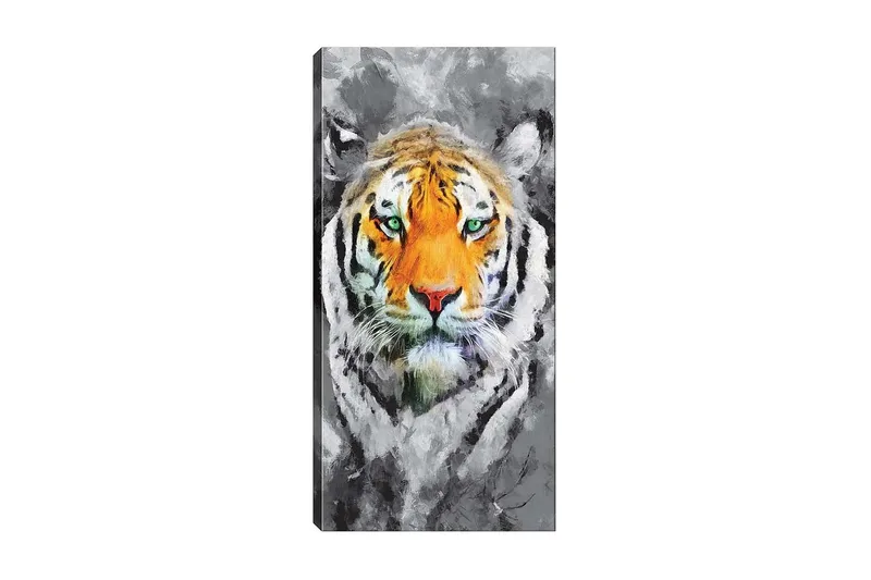 Canvasbillede DKY Animals Flerfarvet, 50x120 cm