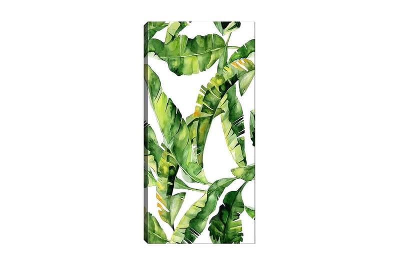 Canvasbillede DKY Floral & Botanical Flerfarvet, 50x120 cm