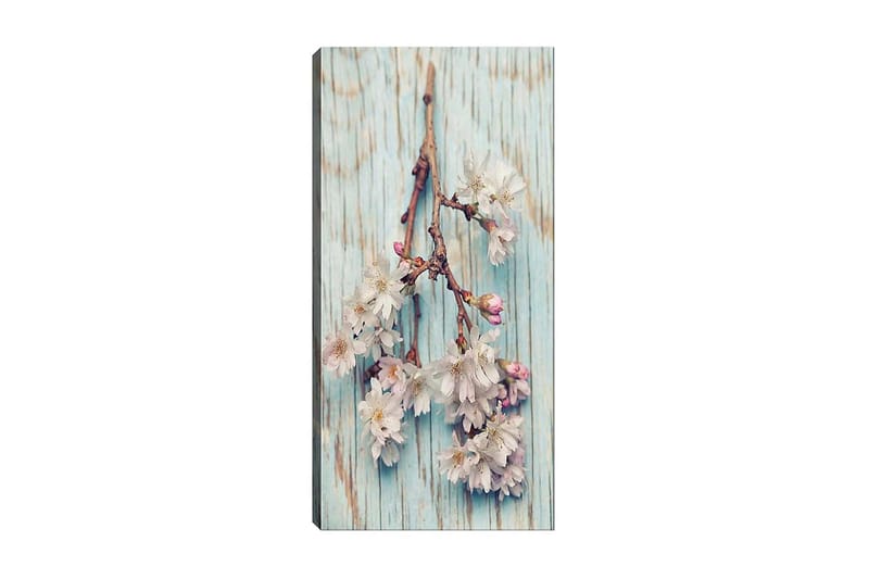 Canvasbillede DKY Floral & Botanical Flerfarvet - 50x120 cm - Boligtilbehør - Billeder & kunst - Billeder på lærred
