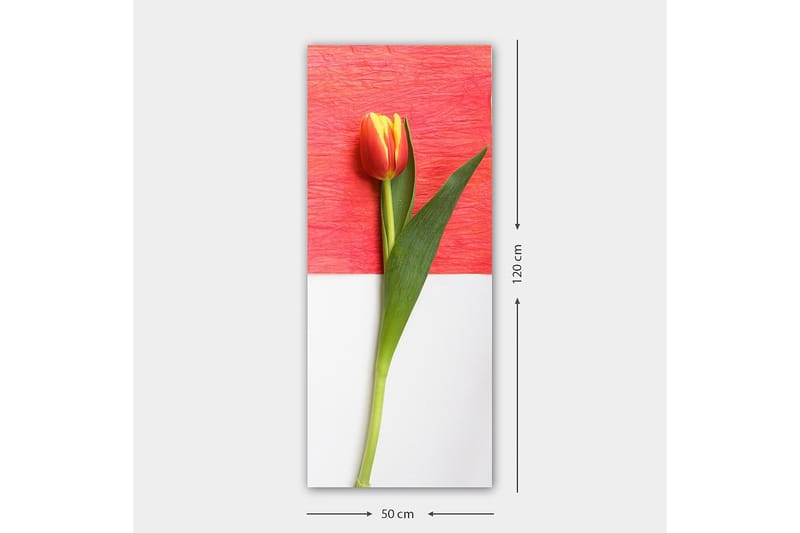 Canvasbillede DKY Floral & Botanical Flerfarvet - 50x120 cm - Boligtilbehør - Billeder & kunst - Billeder på lærred