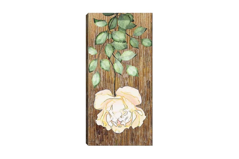 Canvasbillede DKY Floral & Botanical Flerfarvet - 50x120 cm - Boligtilbehør - Billeder & kunst - Billeder på lærred