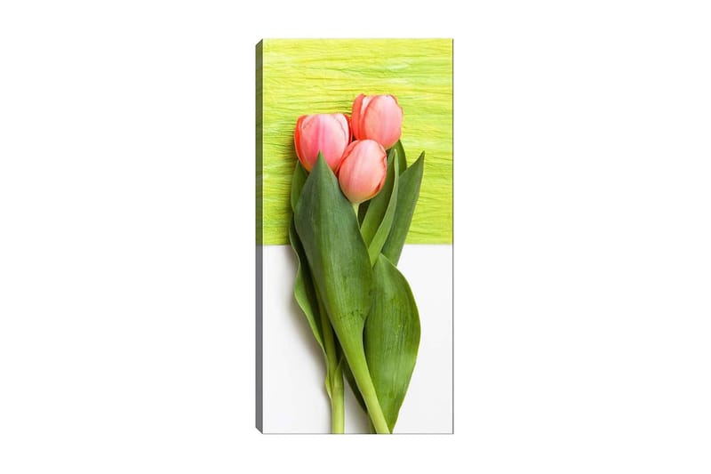 Canvasbillede DKY Floral & Botanical Flerfarvet - 50x120 cm - Boligtilbehør - Billeder & kunst - Billeder på lærred