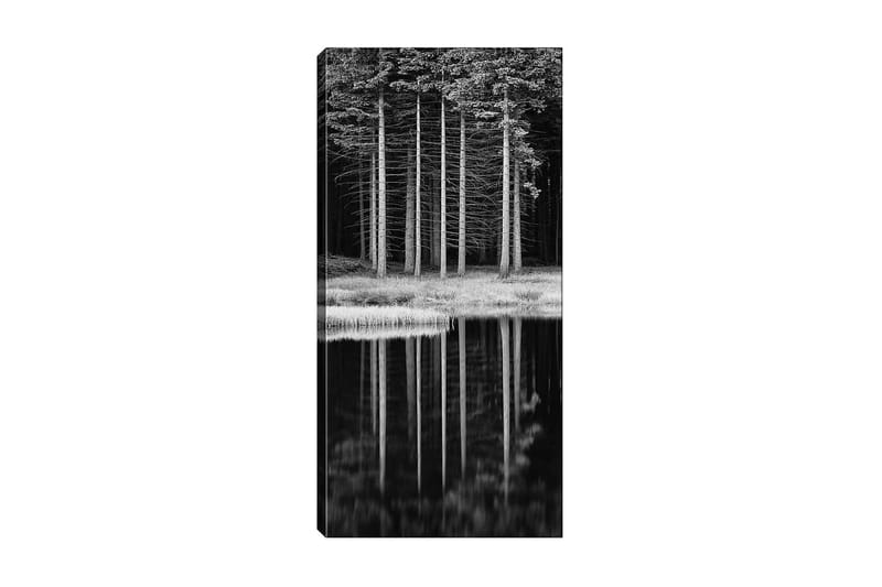 Canvasbillede DKY Floral & Botanical Flerfarvet - 50x120 cm - Boligtilbehør - Billeder & kunst - Billeder på lærred