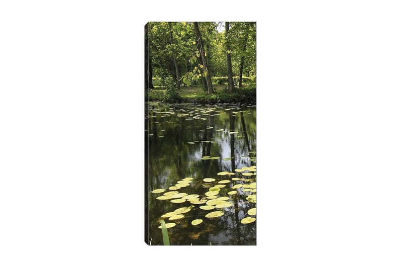 Canvasbillede DKY Floral & Botanical Flerfarvet - 50x120 cm - Boligtilbehør - Billeder & kunst - Billeder på lærred