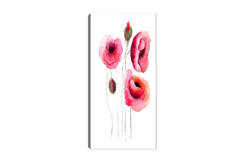 Canvasbillede DKY Floral & Botanical Flerfarvet - 50x120 cm - Boligtilbehør - Billeder & kunst - Billeder på lærred