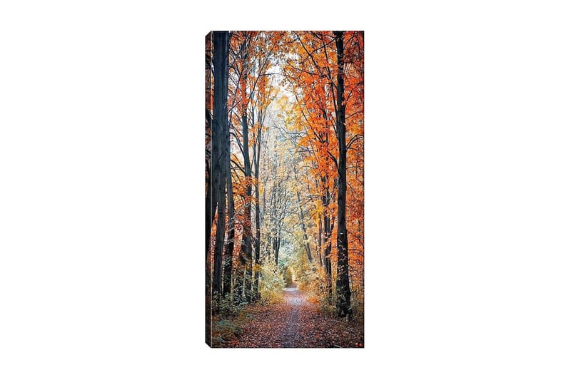 Canvasbillede DKY Floral & Botanical Flerfarvet - 50x120 cm - Boligtilbehør - Billeder & kunst - Billeder på lærred