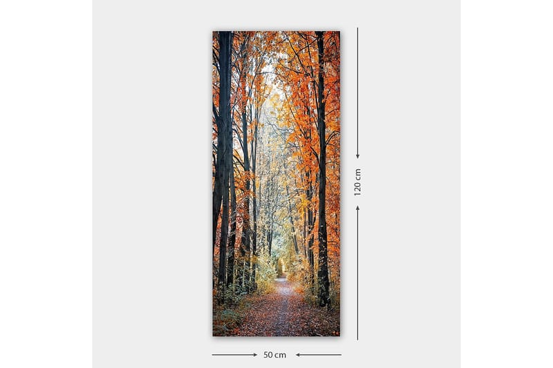 Canvasbillede DKY Floral & Botanical Flerfarvet - 50x120 cm - Boligtilbehør - Billeder & kunst - Billeder på lærred