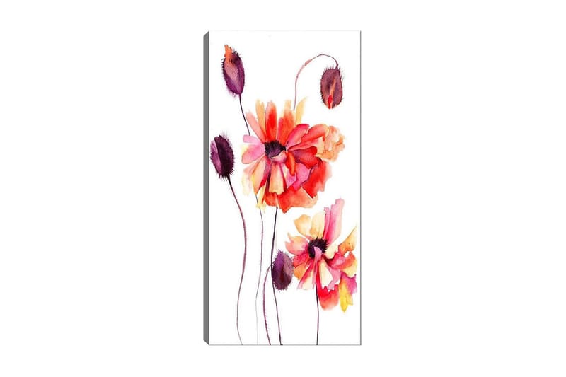 Canvasbillede DKY Floral & Botanical Flerfarvet - 50x120 cm - Boligtilbehør - Billeder & kunst - Billeder på lærred