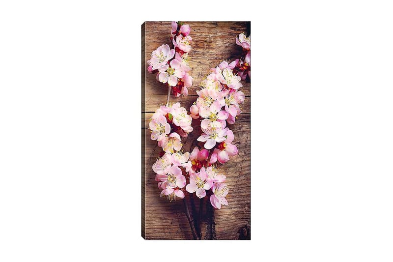 Canvasbillede DKY Floral & Botanical Flerfarvet - 50x120 cm - Boligtilbehør - Billeder & kunst - Billeder på lærred
