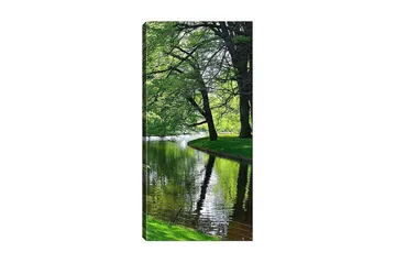 Canvasbillede DKY Floral & Botanical Flerfarvet - 50x120 cm - Boligtilbehør - Billeder & kunst - Billeder på lærred