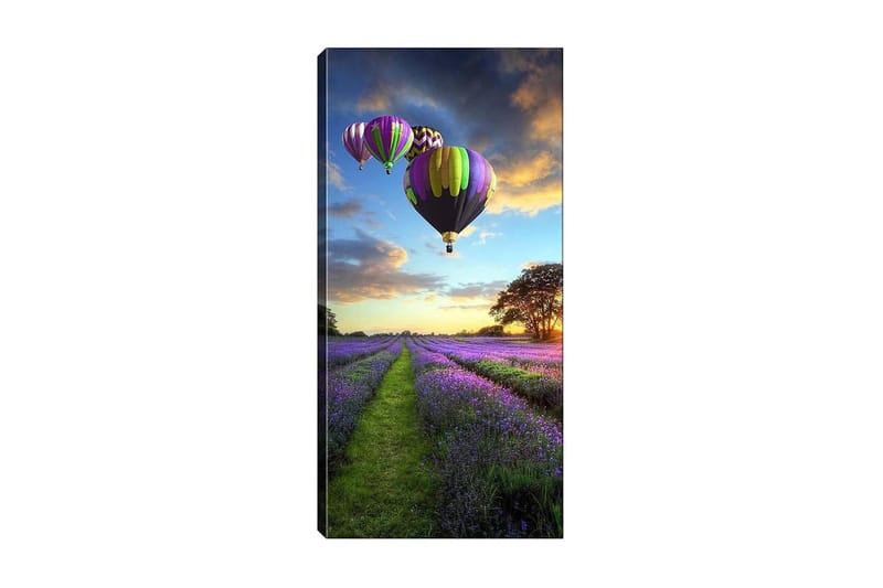 Canvasbillede DKY Landscape & Nature Flerfarvet - 50x120 cm - Boligtilbehør - Billeder & kunst - Billeder på lærred