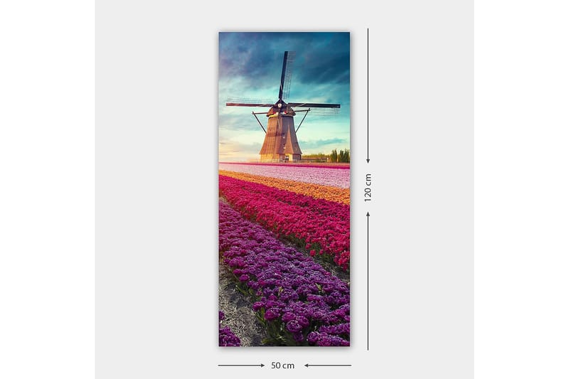 Canvasbillede DKY Landscape & Nature Flerfarvet - 50x120 cm - Boligtilbehør - Billeder & kunst - Billeder på lærred