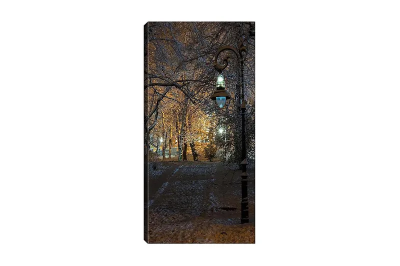 Canvasbillede DKY Landscape & Nature Flerfarvet, 50x120 cm