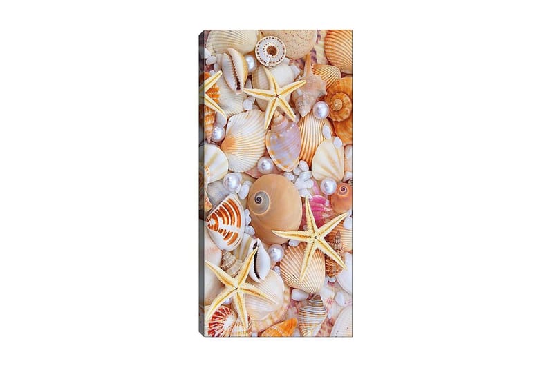 Canvasbillede DKY Nautical & Beach Flerfarvet, 50x120 cm