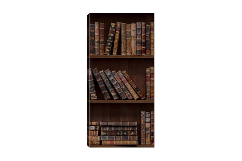 Canvasbillede DKY Reading and Literature Flerfarvet - 50x120 cm - Boligtilbehør - Billeder & kunst - Billeder på lærred