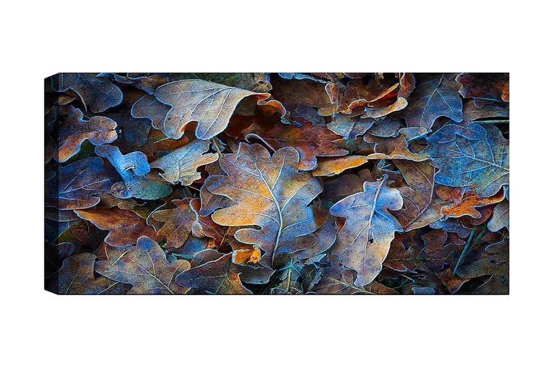 Canvasbillede YTY Abstract & Fractals Flerfarvet, 120x50 cm