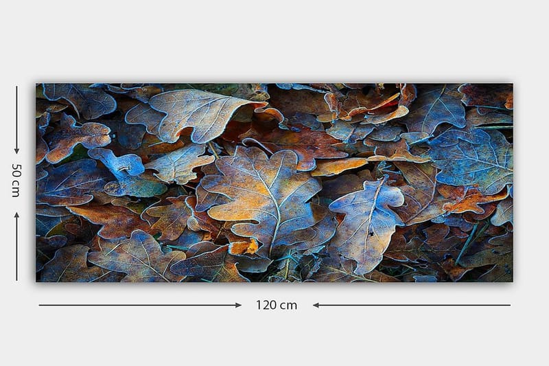 Canvasbillede YTY Abstract & Fractals Flerfarvet - 120x50 cm - Boligtilbehør - Billeder & kunst - Billeder på lærred