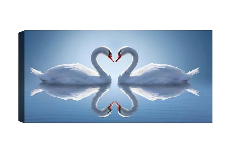 Canvasbillede YTY Abstract & Fractals Flerfarvet, 120x50 cm