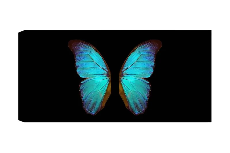 Canvasbillede YTY Animals Flerfarvet, 120x50 cm