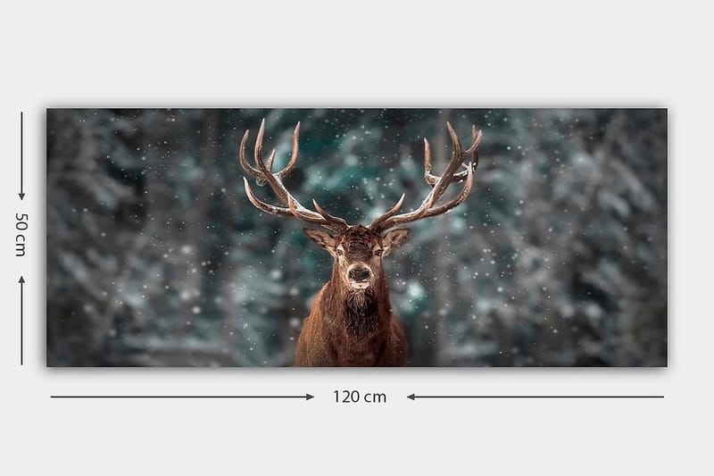 Canvasbillede YTY Animals Flerfarvet - 120x50 cm - Boligtilbehør - Billeder & kunst - Billeder på lærred