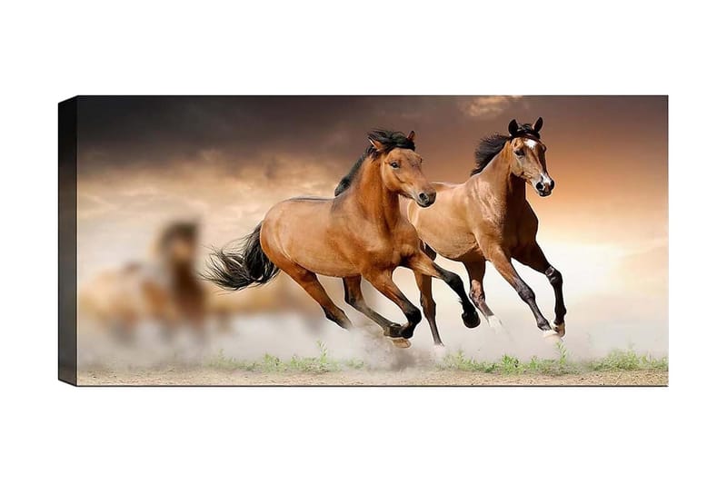 Canvasbillede YTY Animals Flerfarvet - 120x50 cm - Boligtilbehør - Billeder & kunst - Billeder på lærred