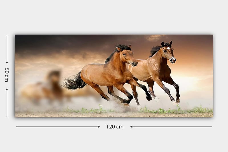 Canvasbillede YTY Animals Flerfarvet - 120x50 cm - Boligtilbehør - Billeder & kunst - Billeder på lærred